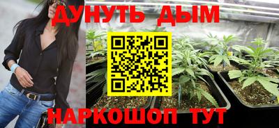 МДПВ Пенза