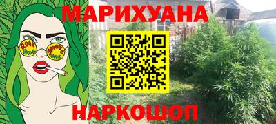 МДПВ Пенза